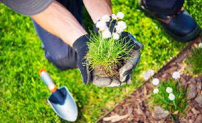 Landscaping Experts Melton Vic, Landscaping Experts in Melton Vic, landscaper in Melton, landscaping services melton , landscaping near melton, landscaping services, landscaping in Melton, VIC