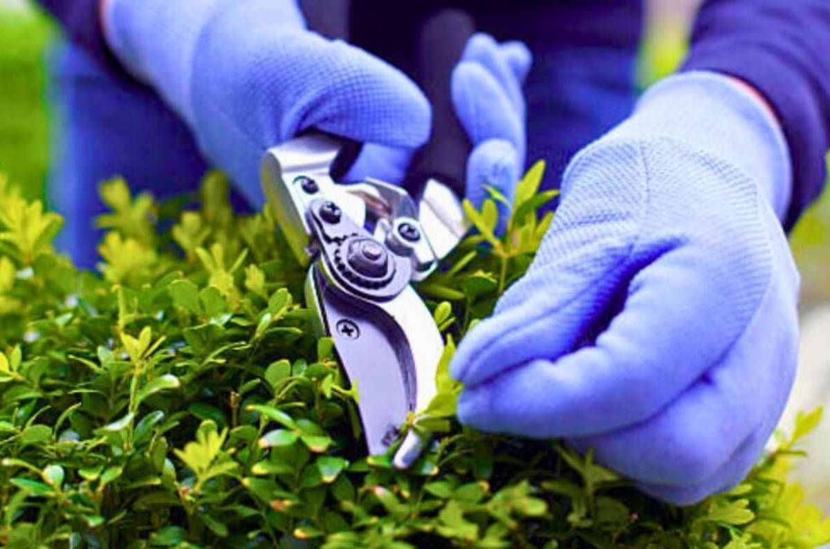 Garden Makeovers Truganina Vic, Garden Makeovers in Truganina Vic