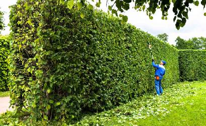 Garden Makeovers Truganina Vic, Garden Makeovers in Truganina Vic