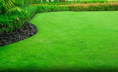 Garden Maintenance Melton Vic, garden maintenance melton, home and garden maintenance services, gardener melton, garden services melton, lawn services, lawn mowing melbourne, lawn mowing sydney, garden maintenance, garden services near me, lawn service near me