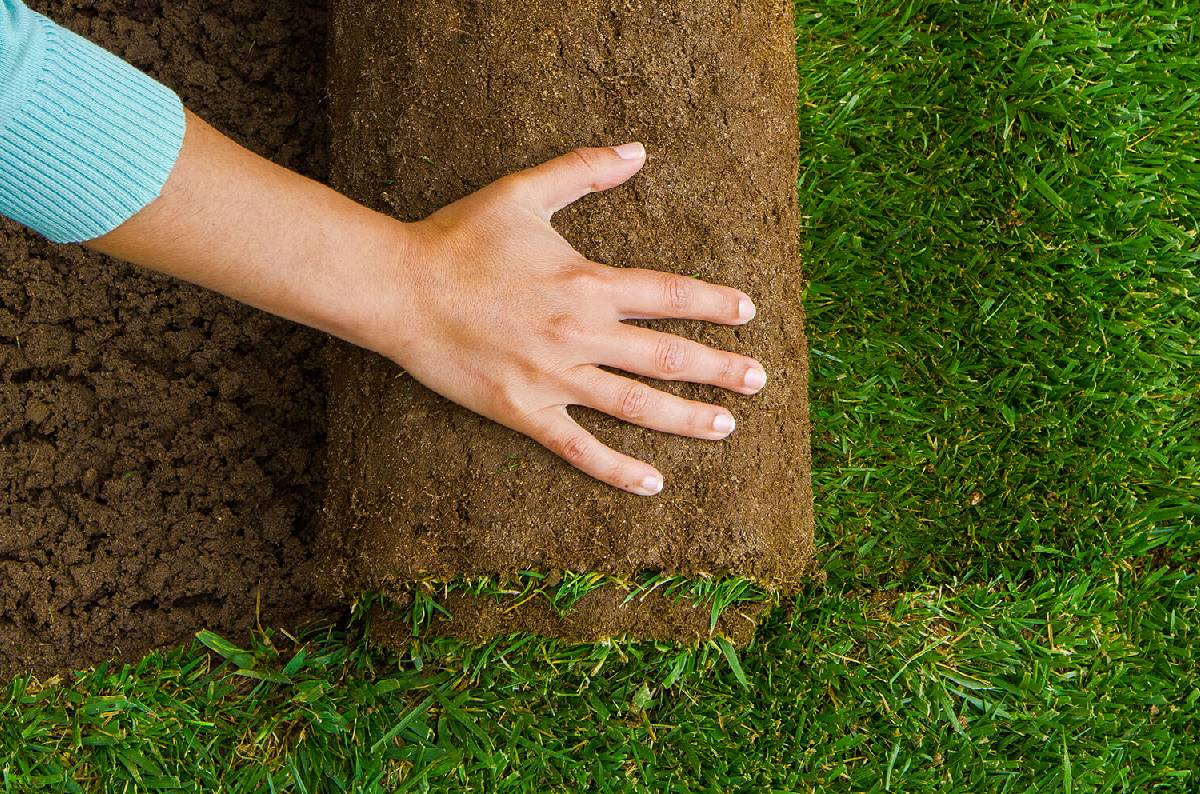 Residential landscaping Sunbury VIC